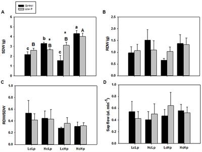 Hormonal and Nutritional Features in Contrasting Rootstock-mediated Tomato Growth under Low-phosphorus Nutrition